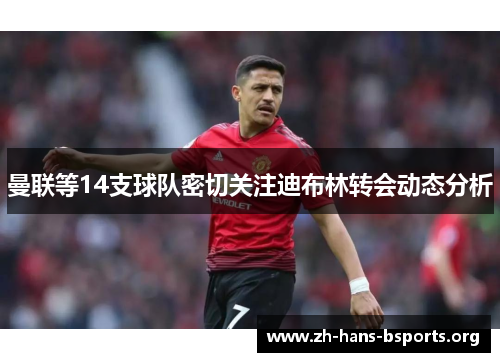 曼联等14支球队密切关注迪布林转会动态分析 曼联等14支球队密切关注迪布林转会动态分析