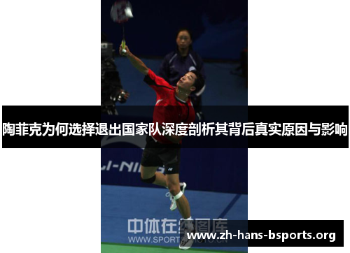 陶菲克为何选择退出国家队深度剖析其背后真实原因与影响 陶菲克为何选择退出国家队深度剖析其背后真实原因与影响